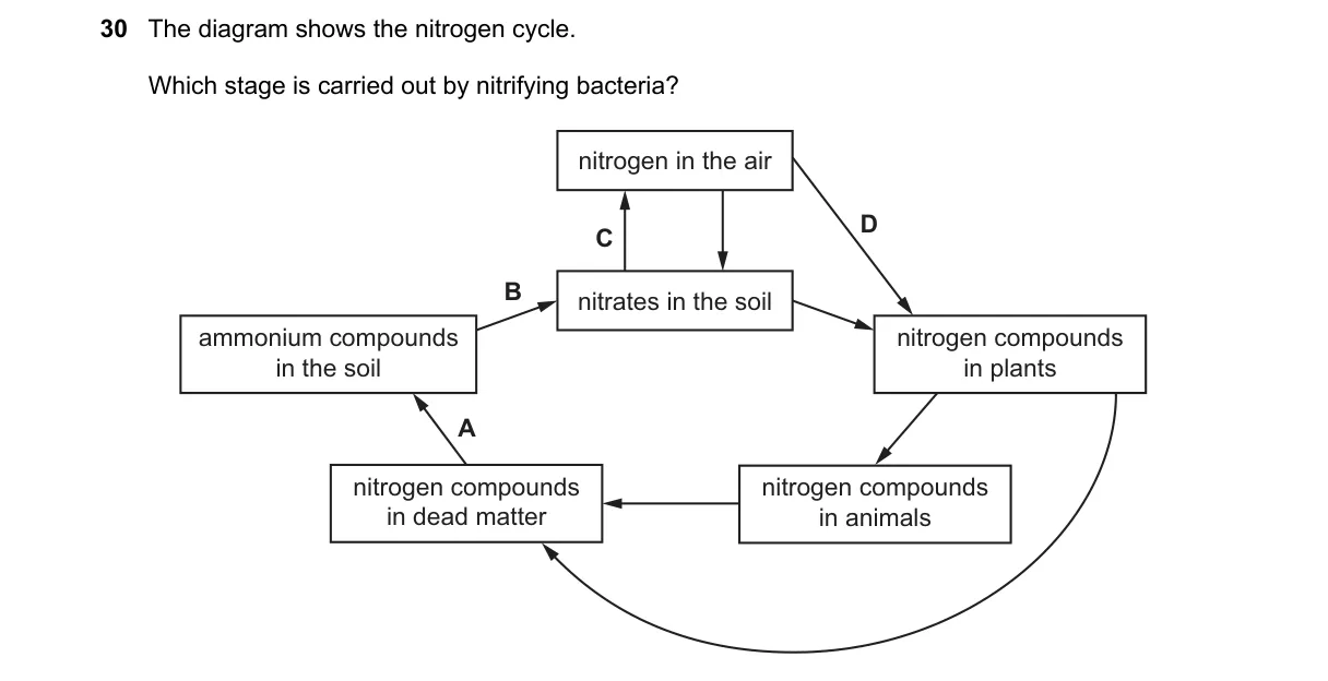 Question 30 from 5090/12/O/N/20