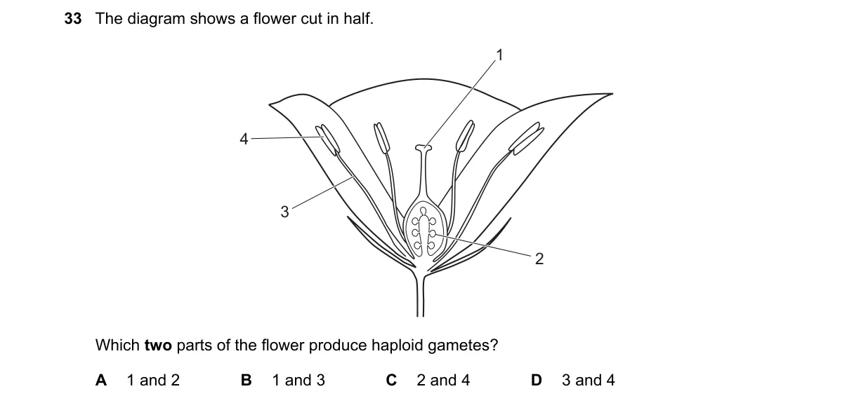 Question 33 from 5090/12/O/N/20