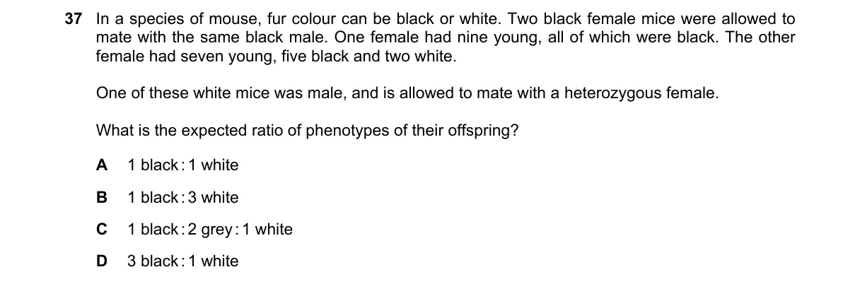 Question 37 from 5090/12/O/N/20