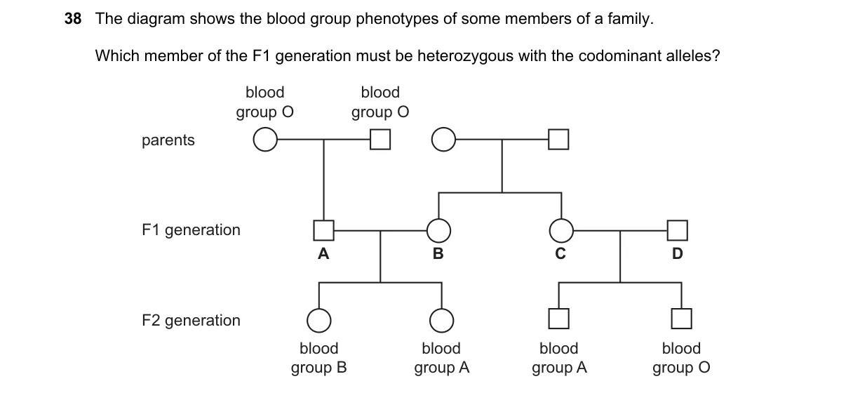 Question 38 from 5090/12/O/N/20