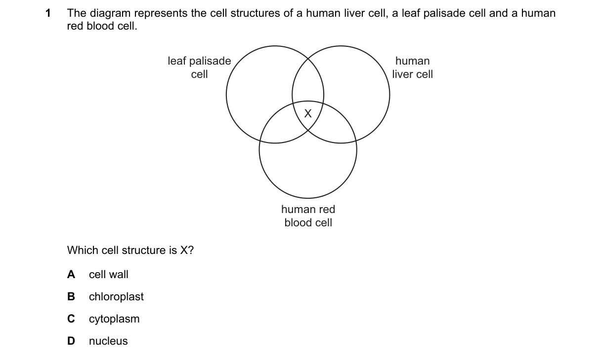 Question 1 from 5090/11/O/N/21