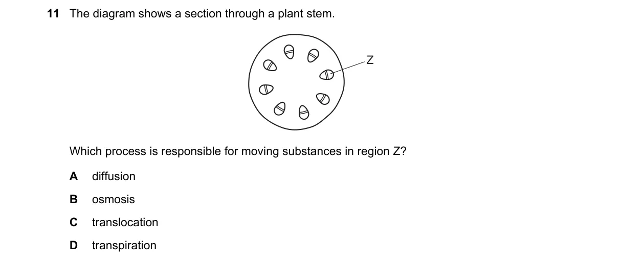 Question 11 from 5090/11/O/N/21