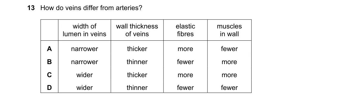 Question 13 from 5090/11/O/N/21