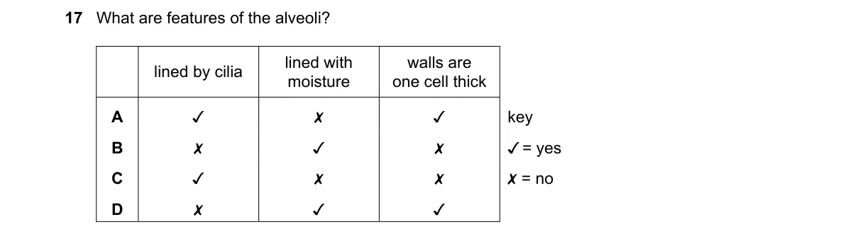 Question 17 from 5090/11/O/N/21