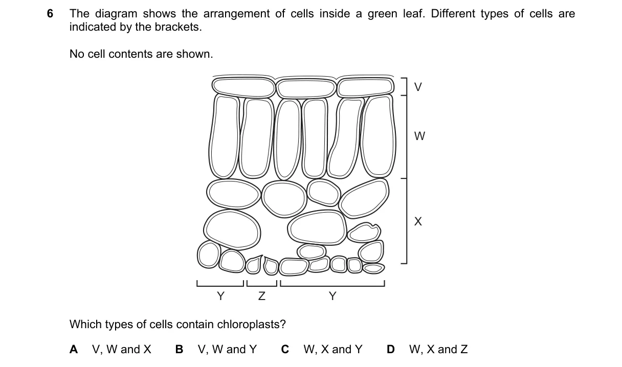 Question 6 from 5090/11/O/N/21