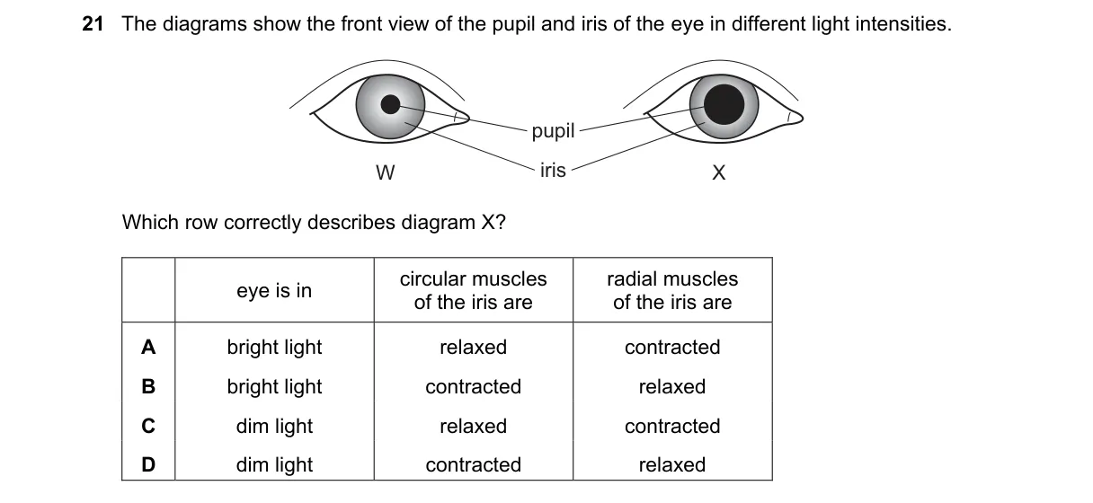 Question 21 from 5090/12/O/N/21