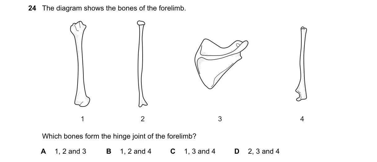 Question 24 from 5090/12/O/N/21