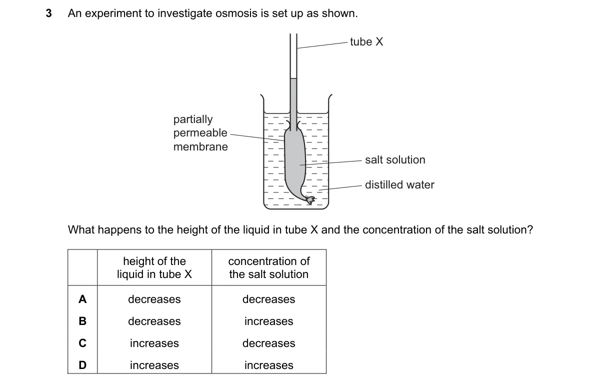 Question 3 from 5090/12/O/N/21