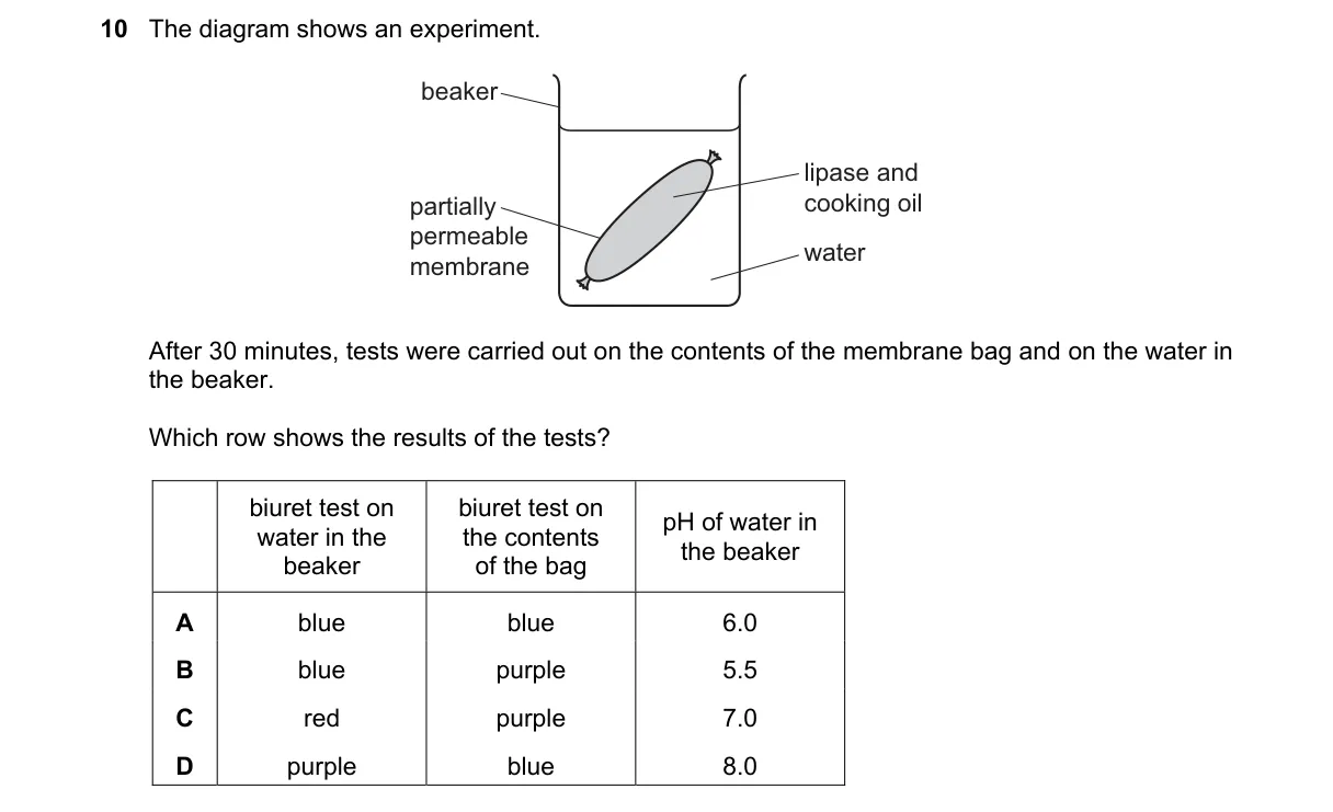 Question 10 from 5090/11/O/N/22