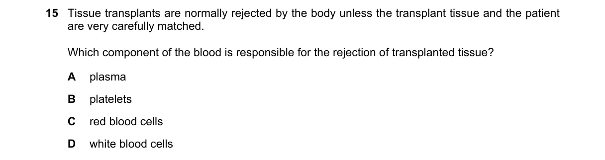 Question 15 from 5090/11/O/N/22