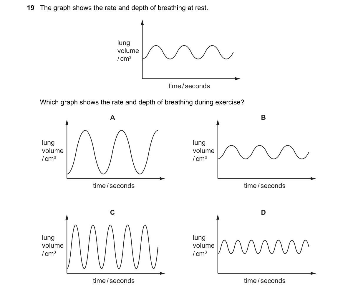 Question 19 from 5090/11/O/N/22