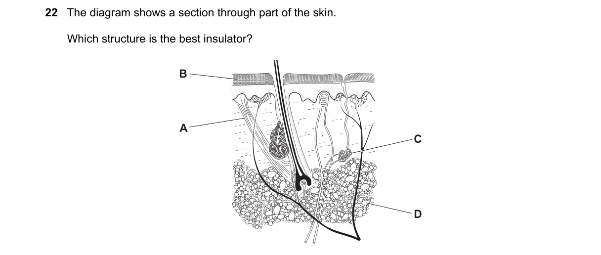 Question 22 from 5090/11/O/N/22