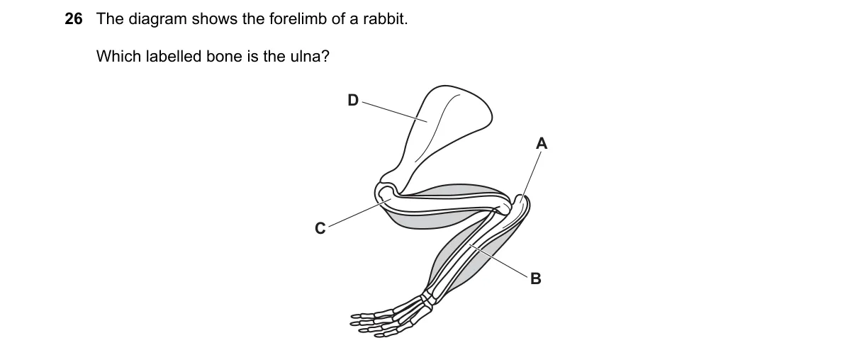 Question 26 from 5090/11/O/N/22