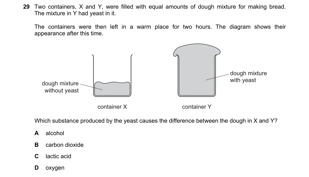 Question 29 from 5090/11/O/N/22