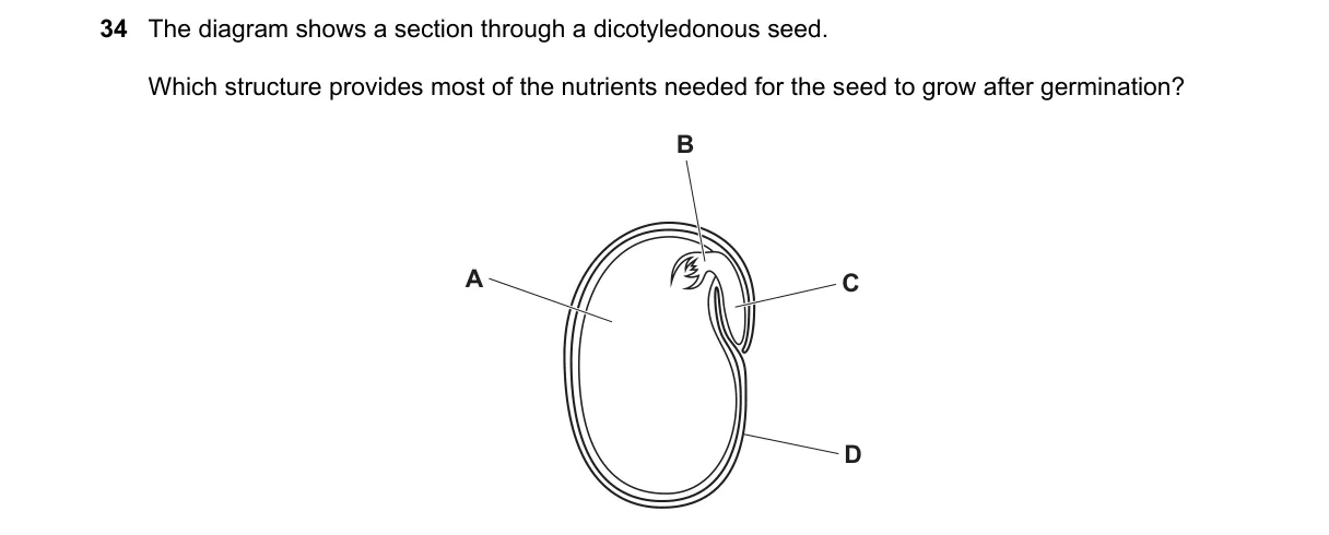 Question 34 from 5090/11/O/N/22