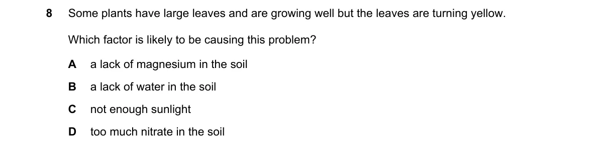 Question 8 from 5090/11/O/N/22