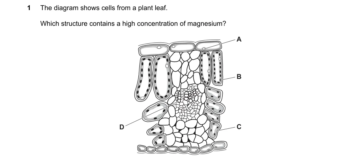 Question 1 from 5090/12/O/N/22