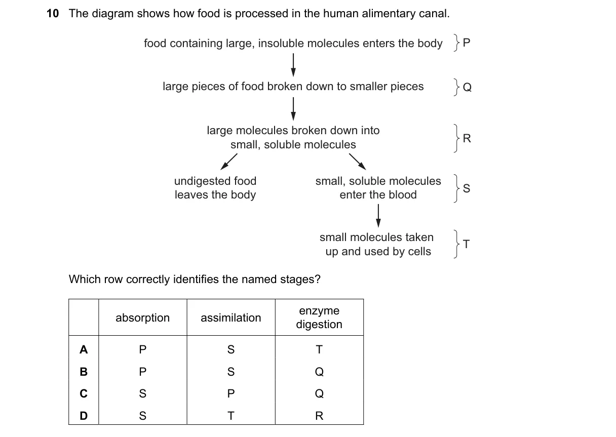 Question 10 from 5090/12/O/N/22