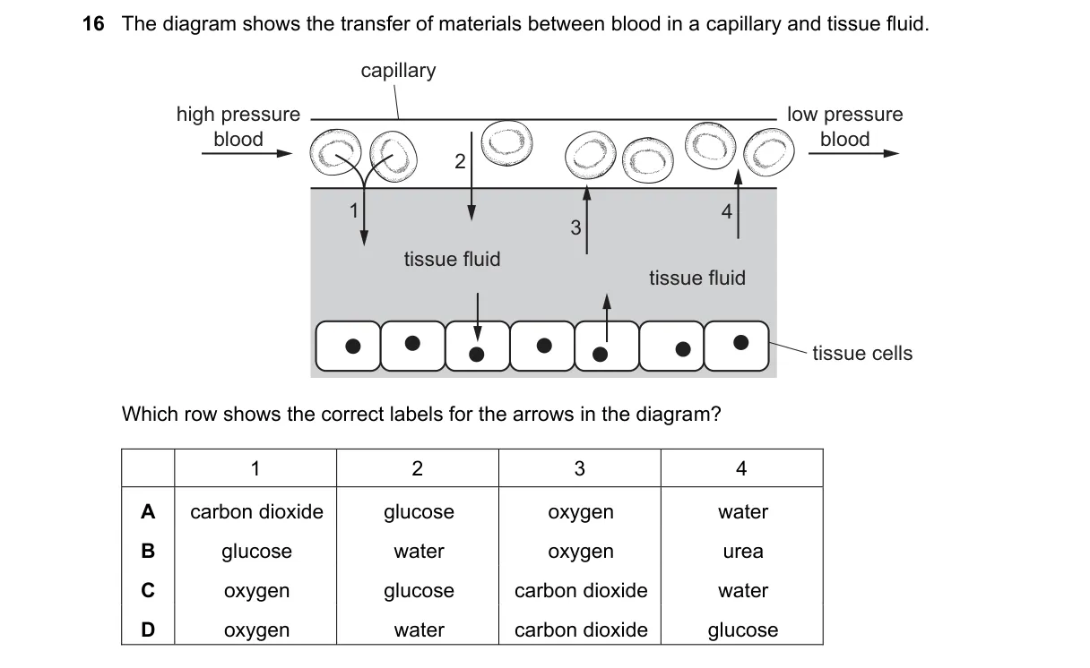 Question 16 from 5090/12/O/N/22