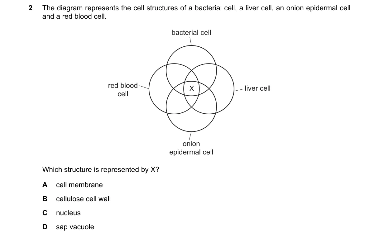 Question 2 from 5090/12/O/N/22