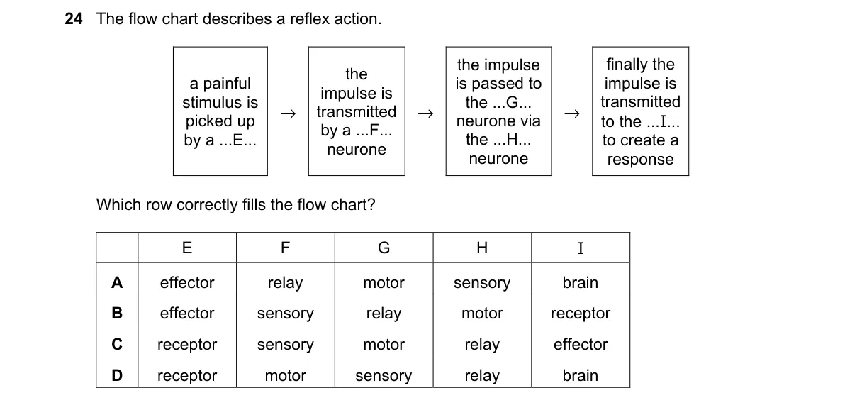 Question 24 from 5090/12/O/N/22
