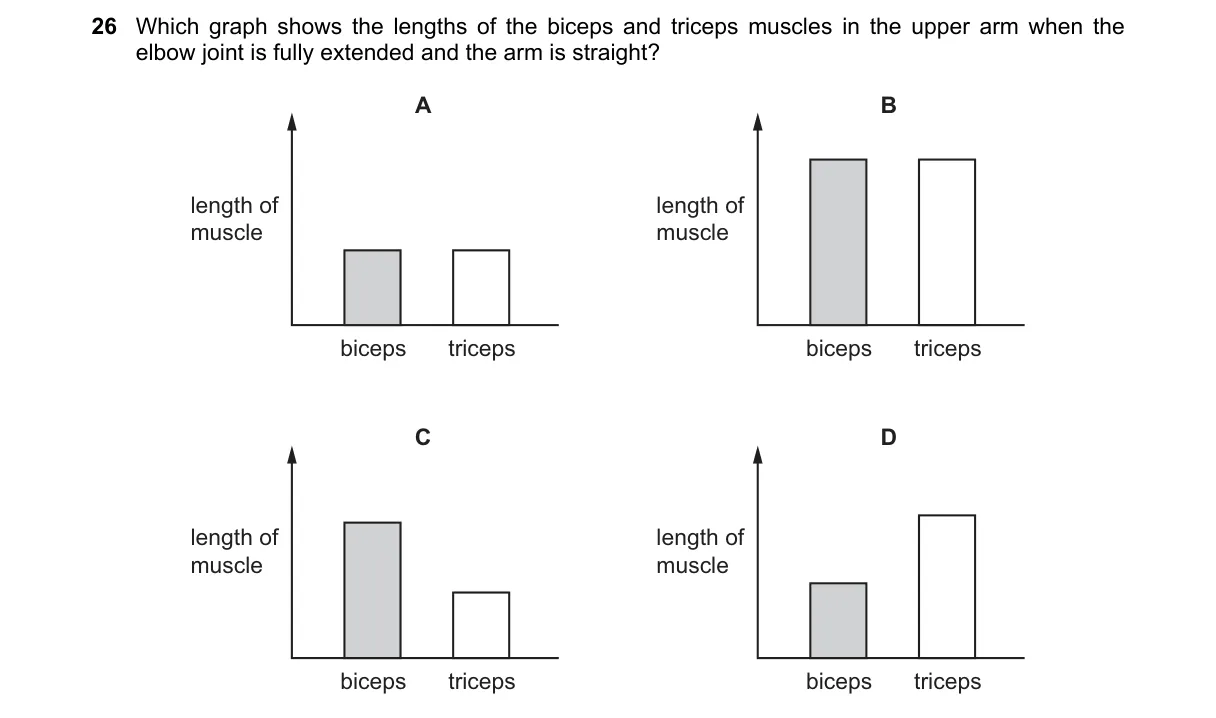 Question 26 from 5090/12/O/N/22