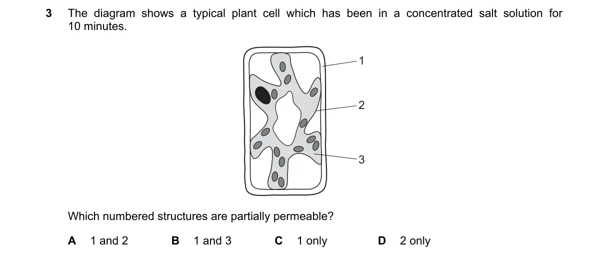 Question 3 from 5090/12/O/N/22