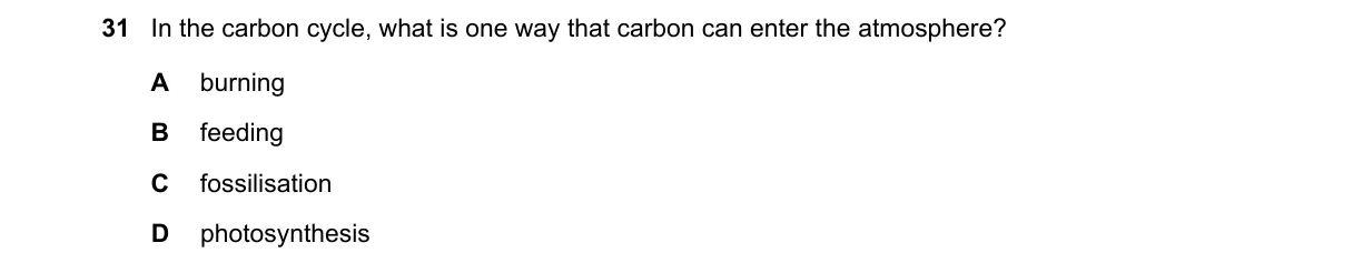 Question 31 from 5090/12/O/N/22