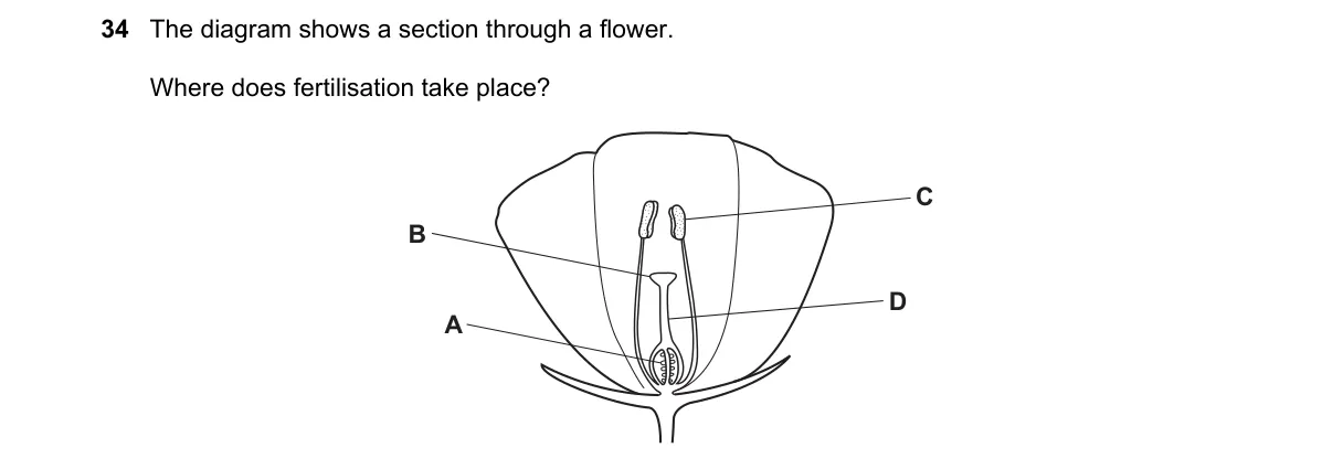 Question 34 from 5090/12/O/N/22