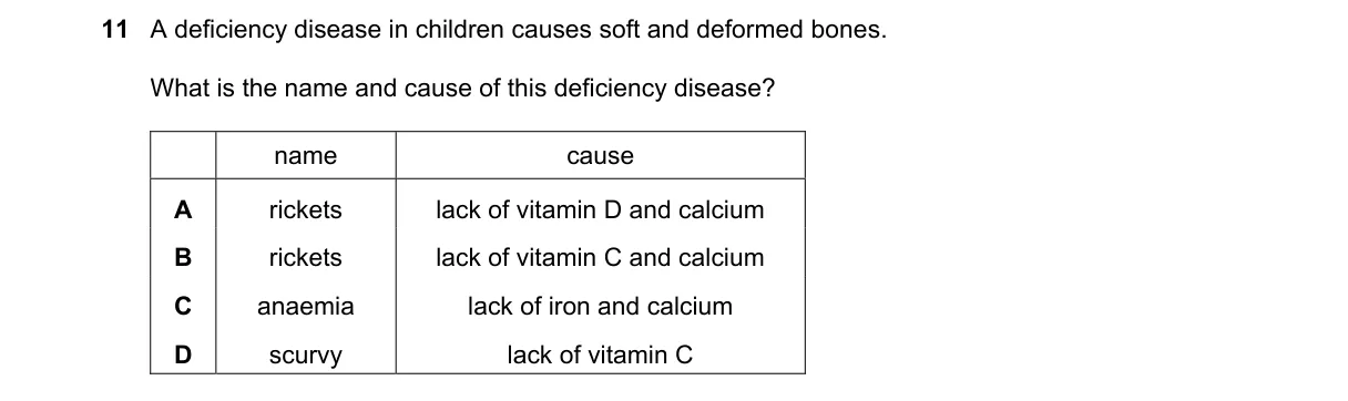 Question 11 from 5090/11/O/N/23