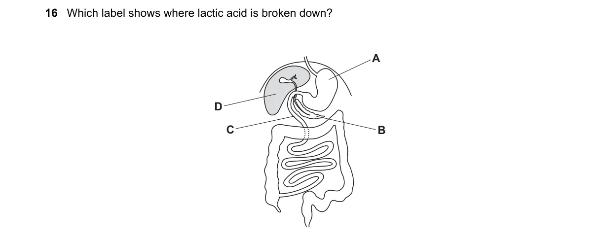 Question 16 from 5090/11/O/N/23