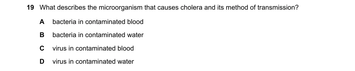 Question 19 from 5090/11/O/N/23