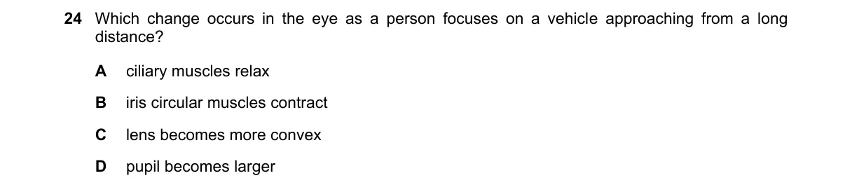 Question 24 from 5090/11/O/N/23