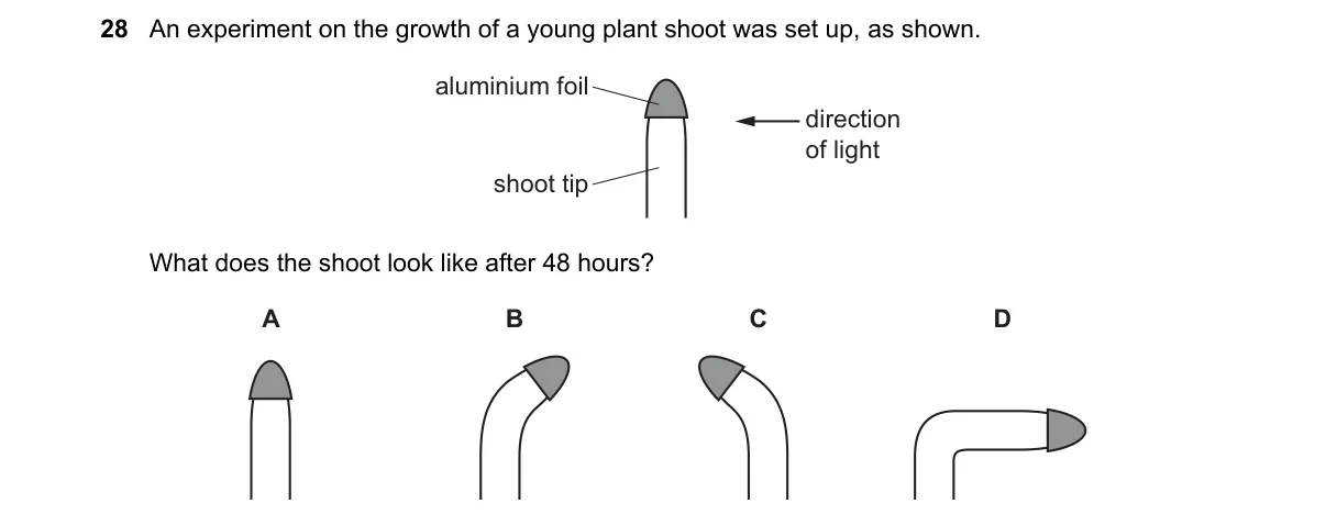 Question 28 from 5090/11/O/N/23