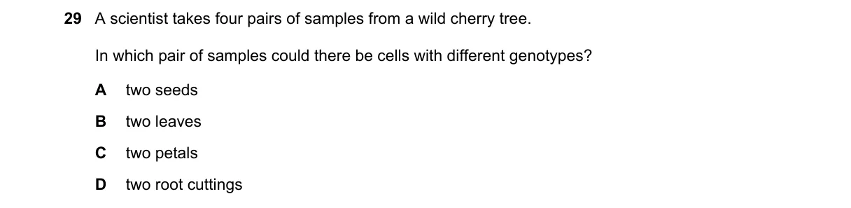 Question 29 from 5090/11/O/N/23