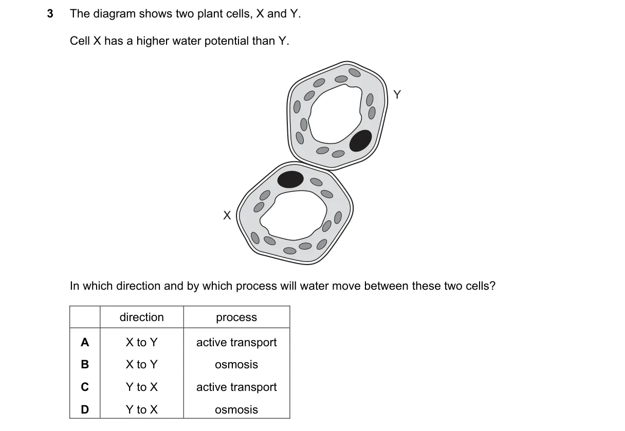 Question 3 from 5090/11/O/N/23