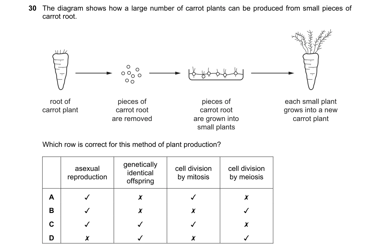 Question 30 from 5090/11/O/N/23