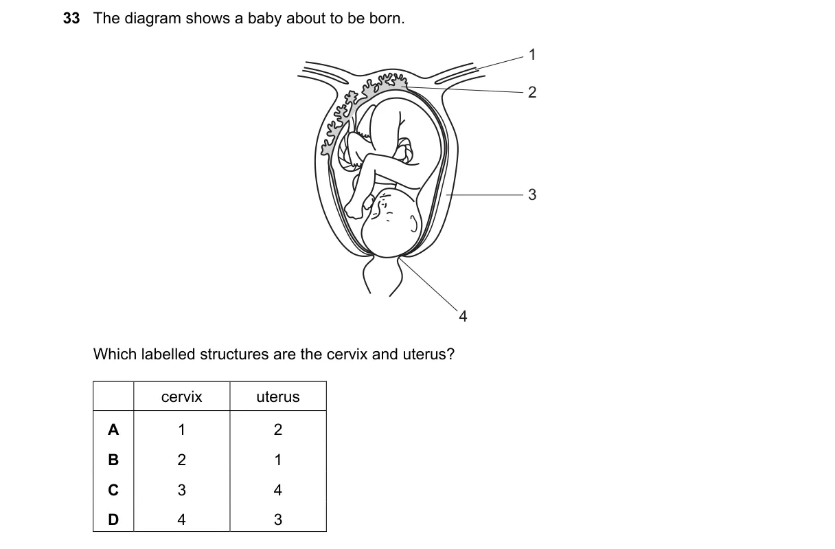 Question 33 from 5090/11/O/N/23