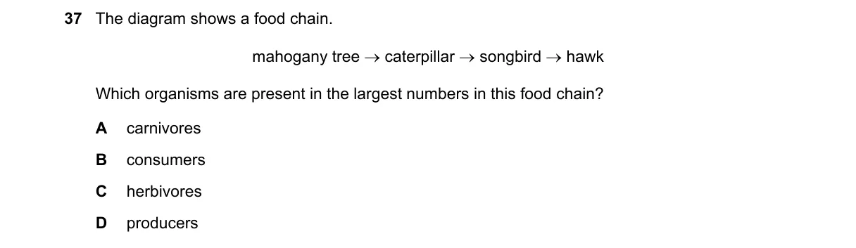 Question 37 from 5090/11/O/N/23