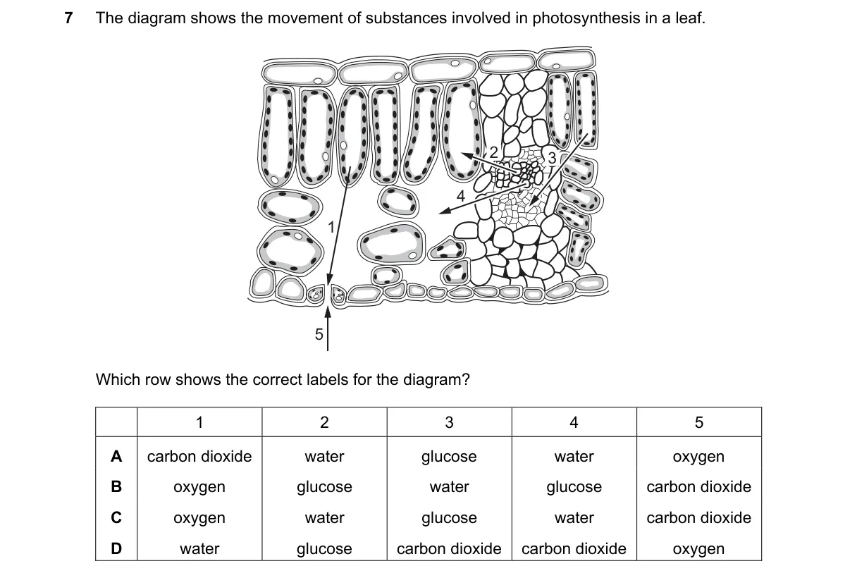 Question 7 from 5090/11/O/N/23