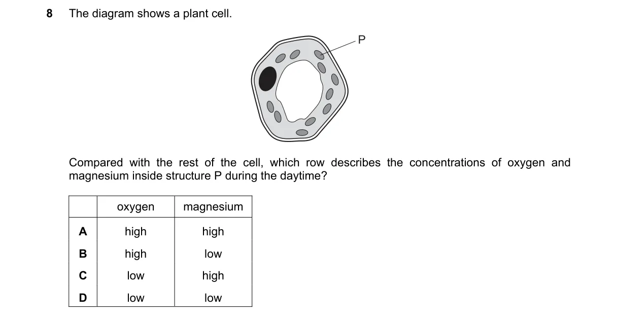 Question 8 from 5090/11/O/N/23