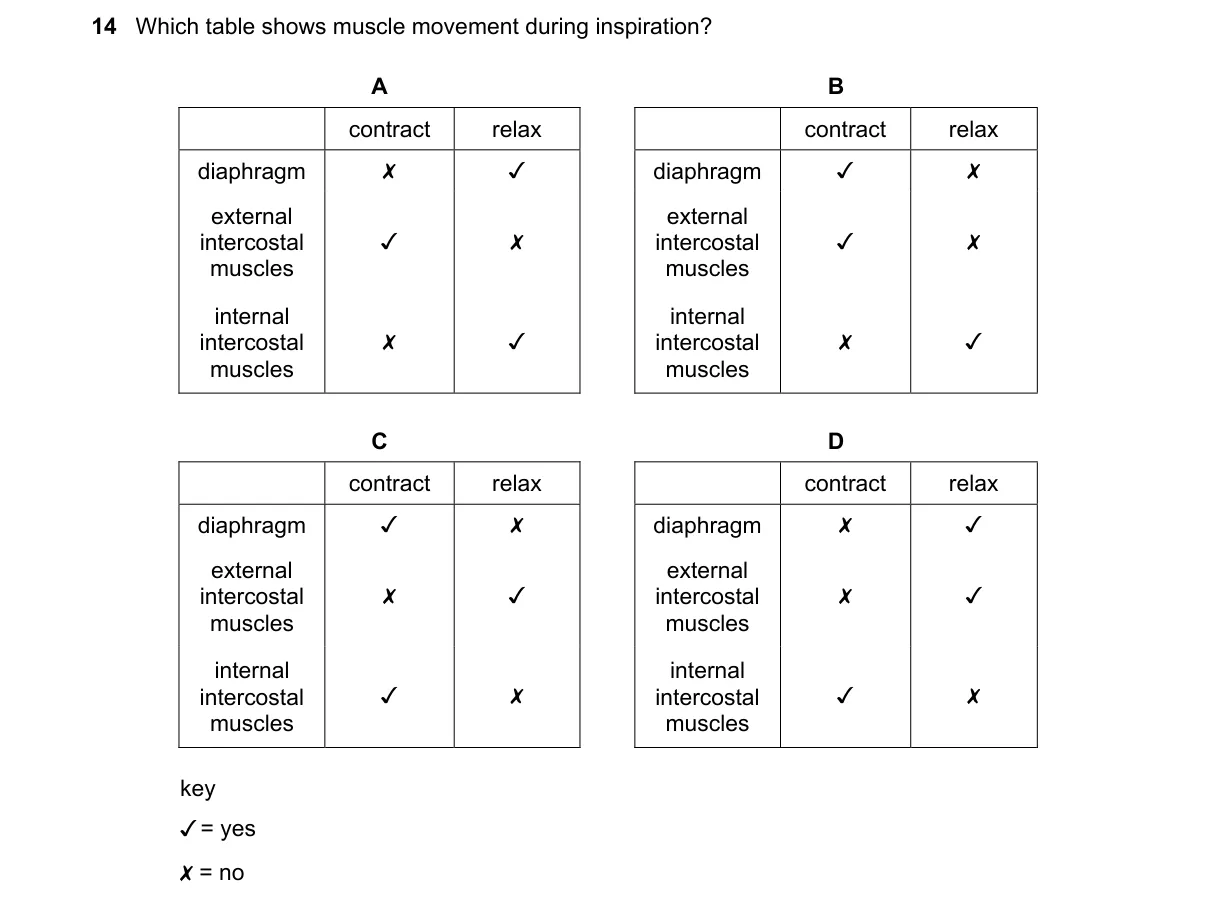 Question 14 from 5090/12/O/N/23