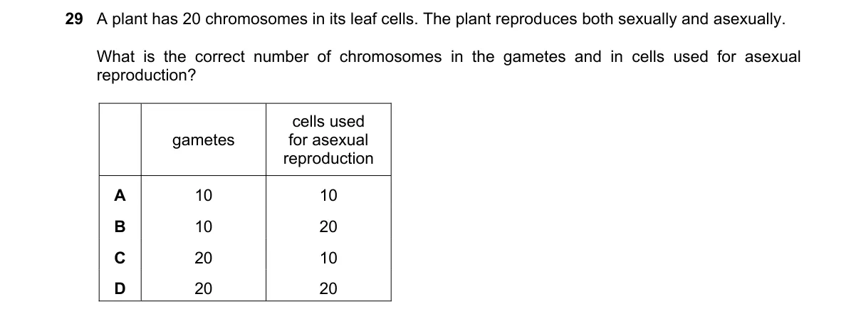Question 29 from 5090/12/O/N/23