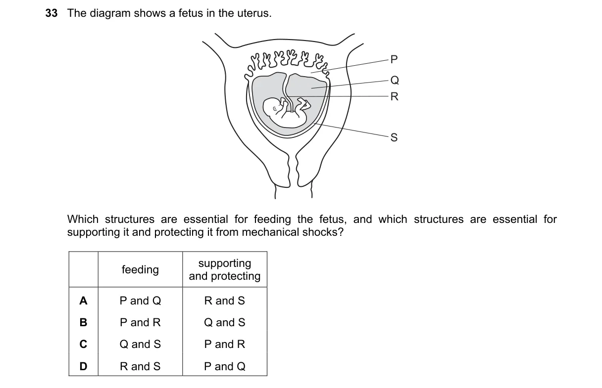 Question 33 from 5090/12/O/N/23