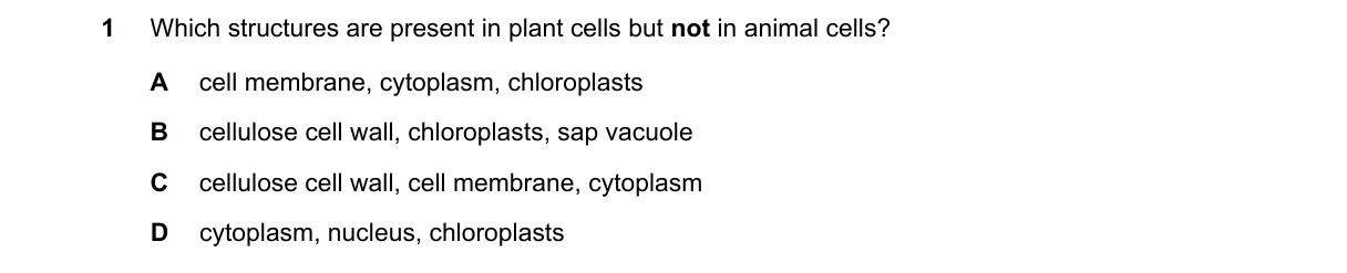 Question 1 from 5090/11/O/N/24