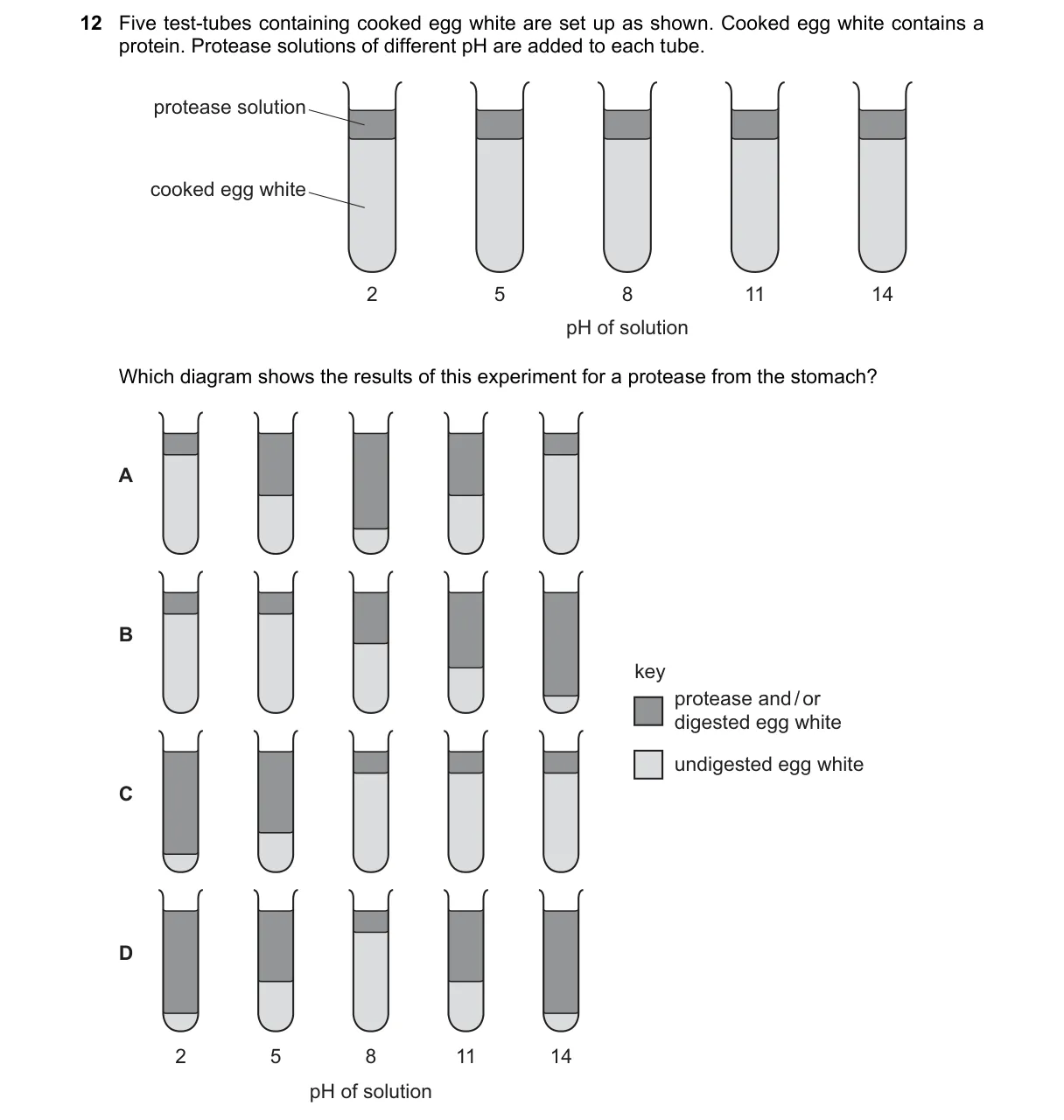Question 12 from 5090/11/O/N/24