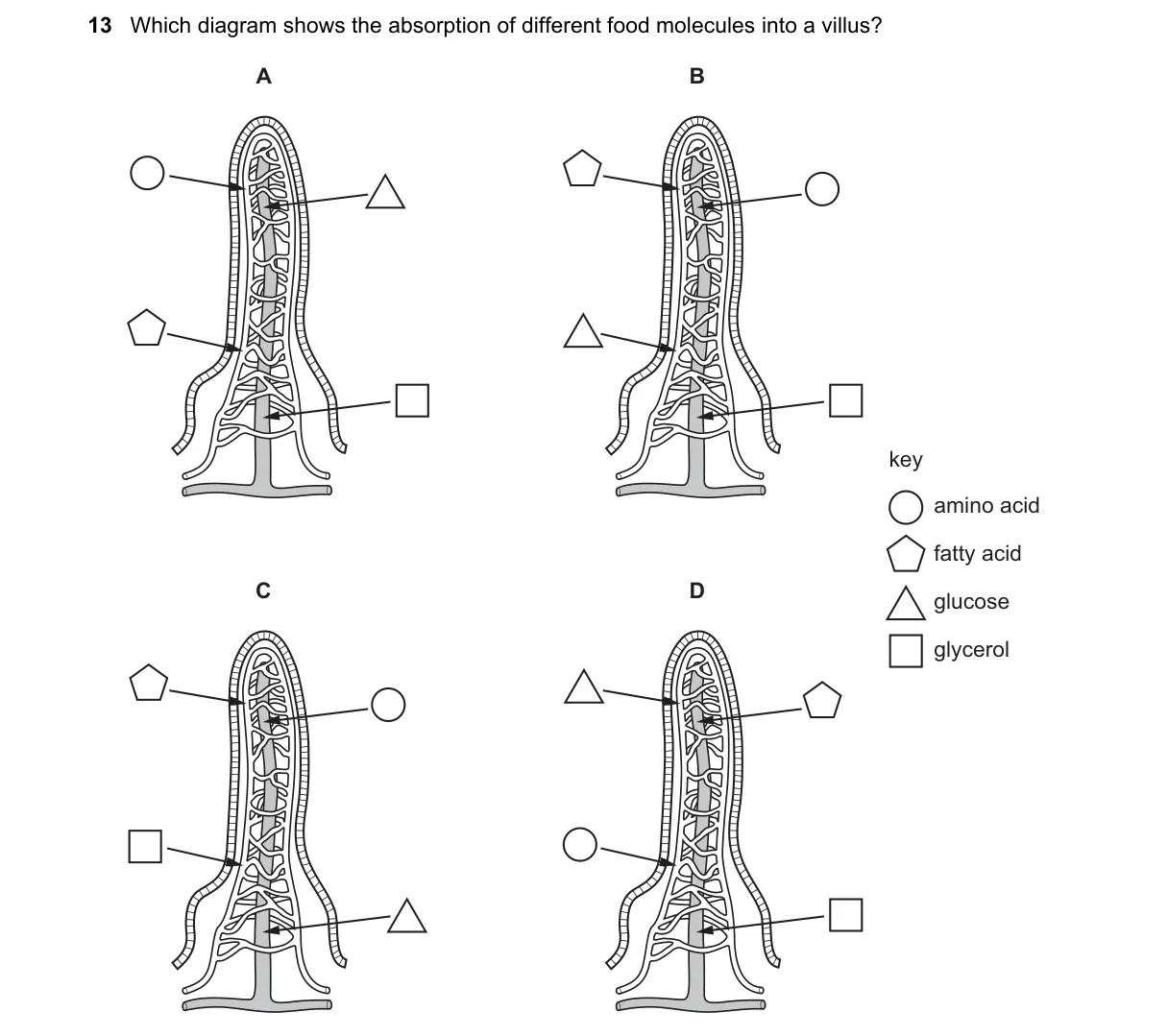 Question 13 from 5090/11/O/N/24
