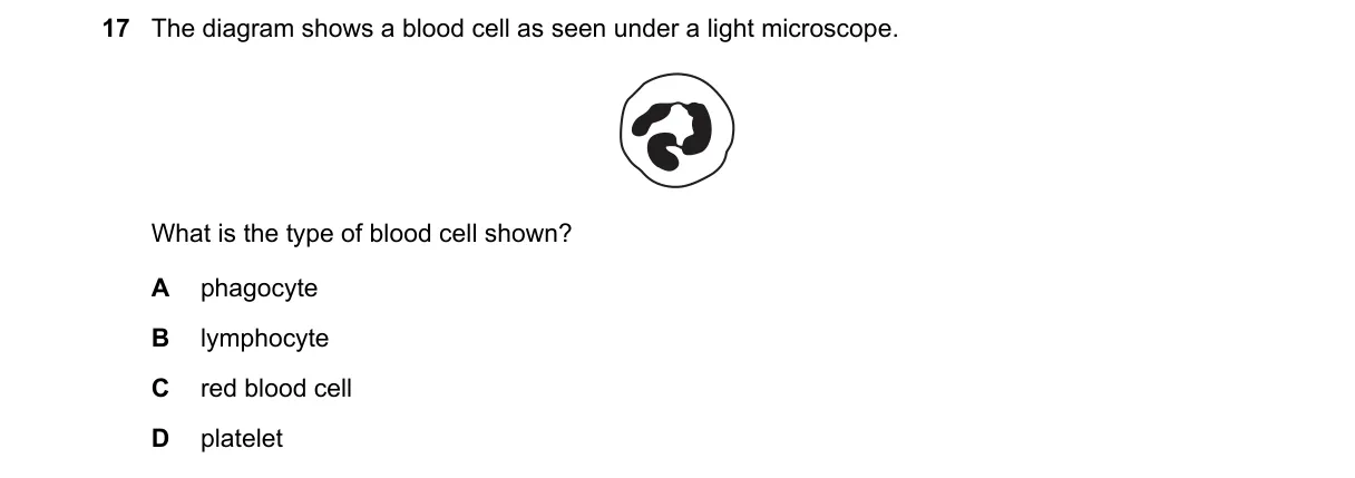 Question 17 from 5090/11/O/N/24