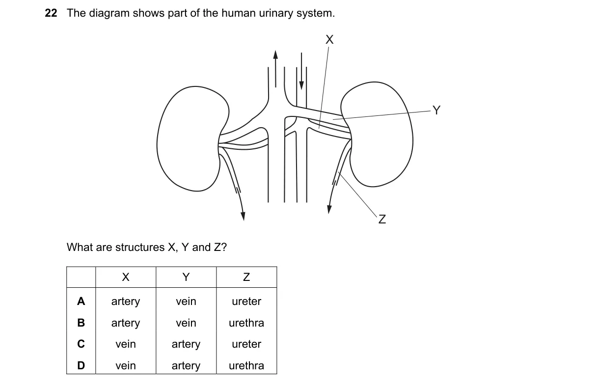 Question 22 from 5090/11/O/N/24