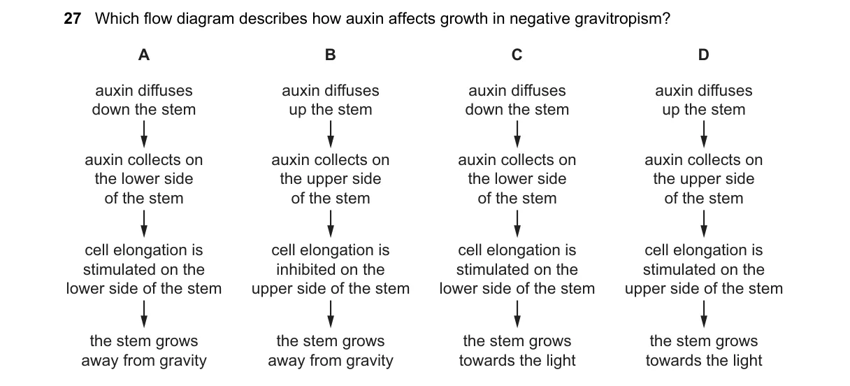 Question 27 from 5090/11/O/N/24